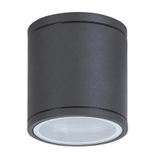 Rabalux - Екстериорна Лампа за таван 1xGU10/35W/230V IP54