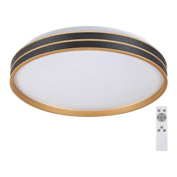 Rabalux - LED Димируем плафон LED/24W/230V 3000-6500K + дистанционно управление