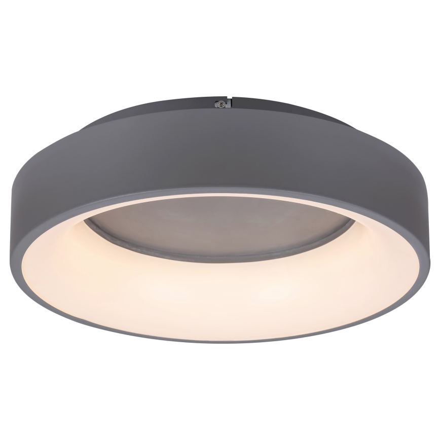 Rabalux - LED Димируем плафон LED/24W/230V кръгла 3000-6000K + дистанционно управление