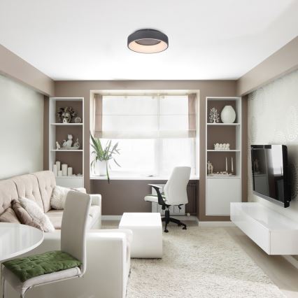 Rabalux - LED Димируем плафон LED/24W/230V кръгла 3000-6000K + дистанционно управление