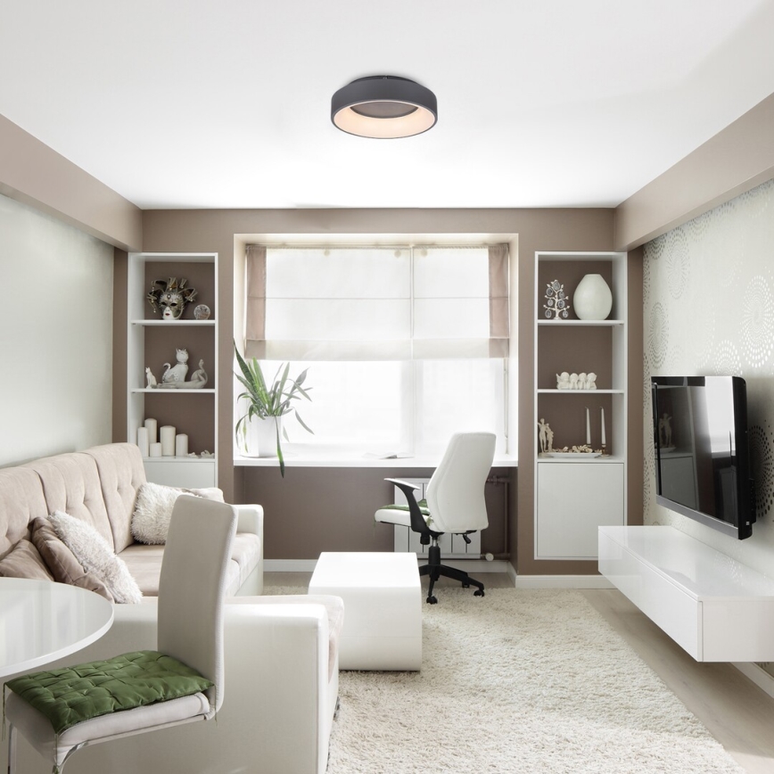 Rabalux - LED Димируем плафон LED/24W/230V кръгла 3000-6000K + дистанционно управление