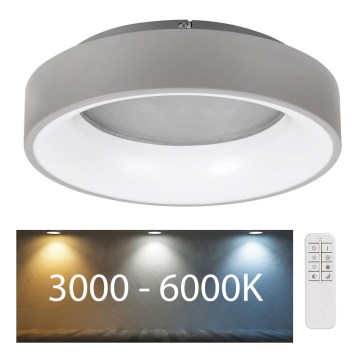 Rabalux - LED Димируем плафон LED/24W/230V кръгла 3000-6000K + дистанционно управление