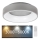 Rabalux - LED Димируем плафон LED/24W/230V кръгла 3000-6000K + дистанционно управление