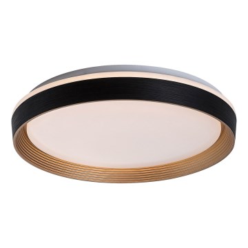 Rabalux - LED Димируем плафон LED/48W/230V 3000-6500K + дистанционно управление