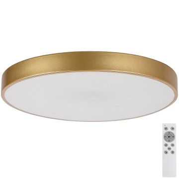 Rabalux - LED Димируем плафон LED/60W/230V 3000-6000K + дистанционно управление