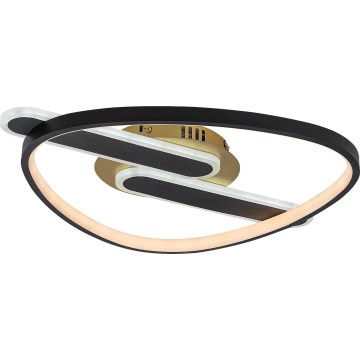 Rabalux - LED димируем таванен плафон LED/60W/230V 3000-6000K 53x45 cm + дистанционно управление