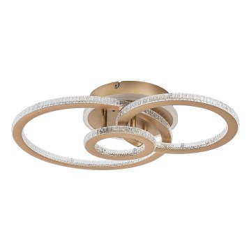 Rabalux - LED Димируема таванна лампа LED/40W/230V 3000-6500K + дистанционно управление