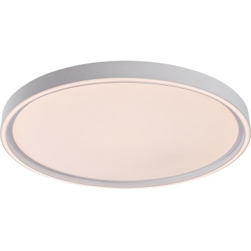 Rabalux - LED димируемо таванно осветително тяло LED/54W/230V IP40 3000-6500K диаметър 52 см + дистанционно управление