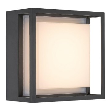 Rabalux - LED Екстериорен аплик LED/6,5W/230V IP65