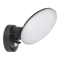 Rabalux - LED Екстериорен аплик със сензор LED/12W/230V IP54