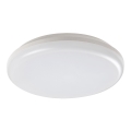 Rabalux - LED Екстериорна Лампа за таван LED/24W/230V IP64