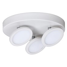 Rabalux - LED Лампа за таван 3xLED/6W/230V бяла