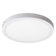 Rabalux - LED Лампа за таван LED/36W/230V