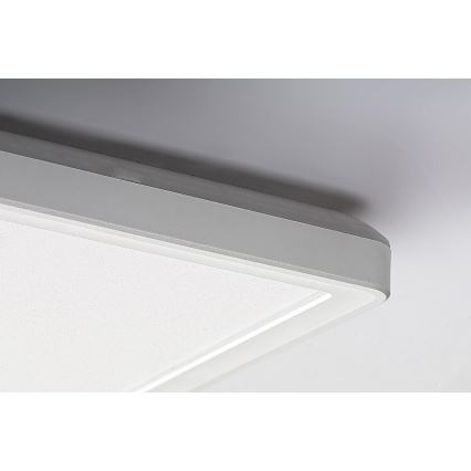 Rabalux - LED Панел за повърхностен монтаж LED/22W/230V