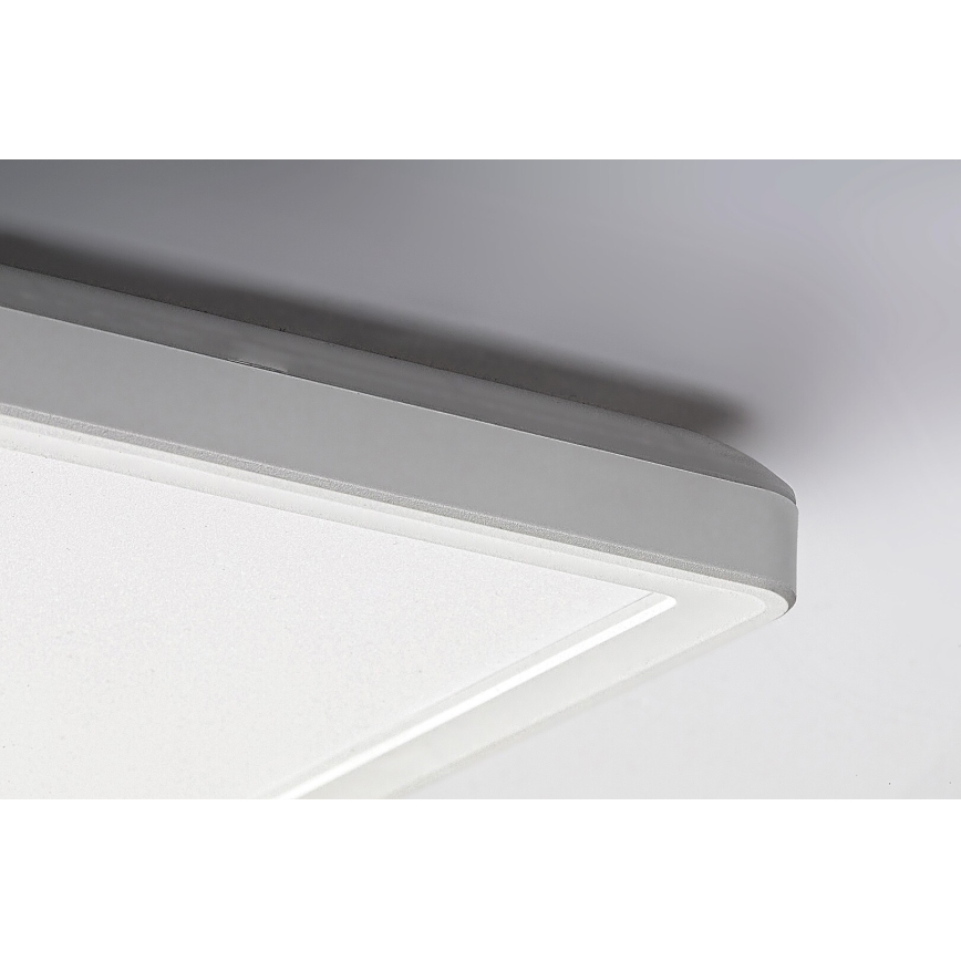Rabalux - LED Панел за повърхностен монтаж LED/22W/230V