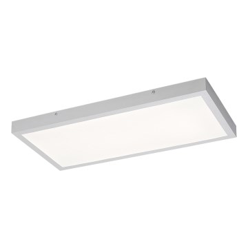 Rabalux - LED Панел за повърхностен монтаж LED/24W/230V 4000K 60x30 см