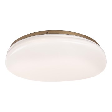 Rabalux - LED плафон за баня LED/24W/230V IP44 Ø 41 cm