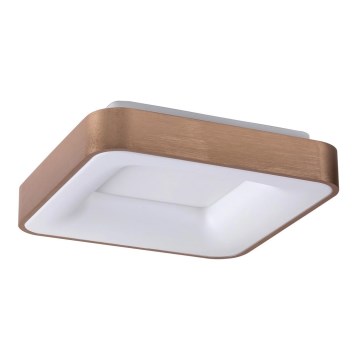 Rabalux - LED Плафониера CARMELA LED/30W/230V 40x40 см