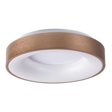 Rabalux - LED Плафониера CARMELA LED/50W/230V Ø 60 см