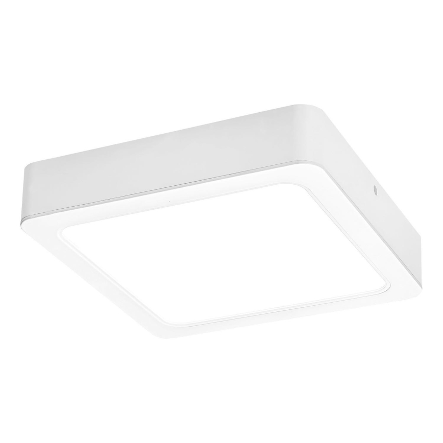 Rabalux - LED Плафониера LED/15W/230V 4000K 16x16 см бял