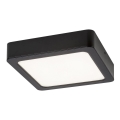 Rabalux - LED Плафониера LED/17W/230V 17x17 см