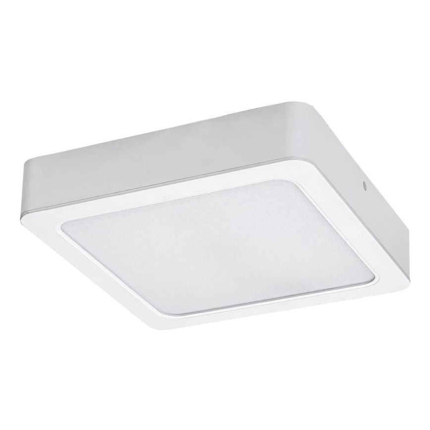 Rabalux - LED Плафониера LED/24W/230V 3000K 22x22 см бял