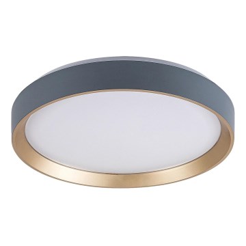 Rabalux - LED Плафониера LED/25W/230V 3000K Ø 38 см