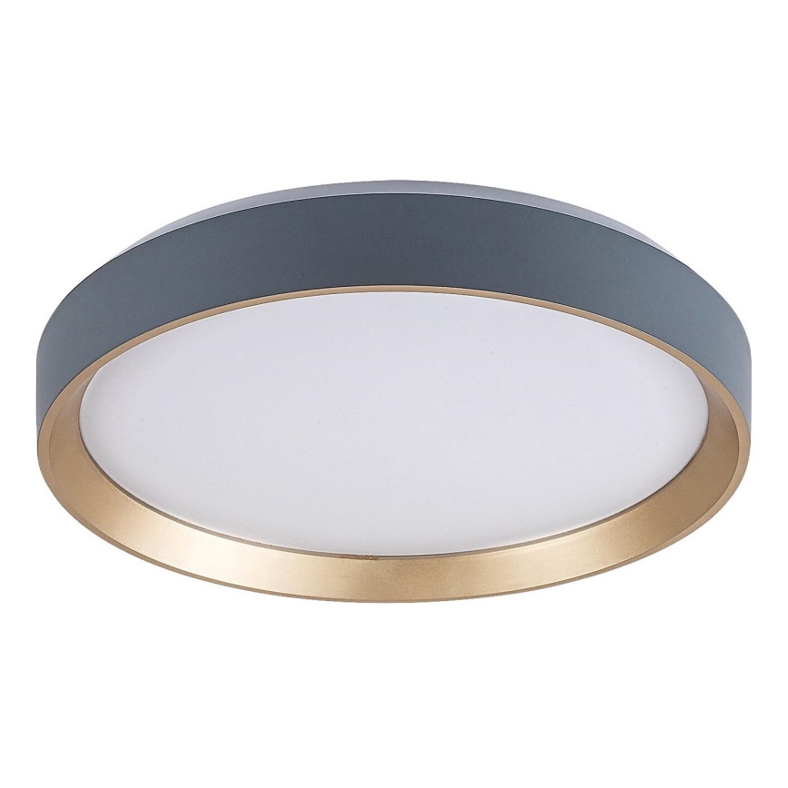 Rabalux - LED Плафониера LED/25W/230V 3000K Ø 38 см