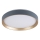 Rabalux - LED Плафониера LED/25W/230V 3000K Ø 38 см