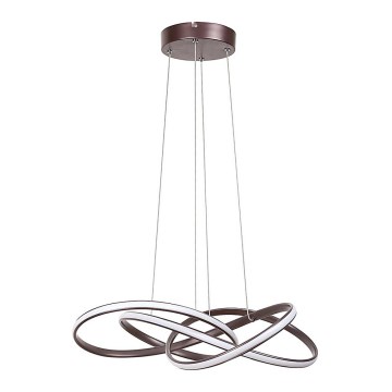 Rabalux - LED Полилей на верижка LED/40W/230V