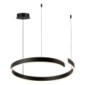 Rabalux - LED полилей на кабел LED/35W/230V 3000/4000/6500K
