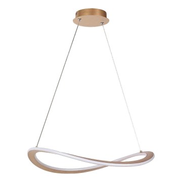 Rabalux - LED полилей на кабел LED/40W/230V 3000K