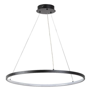 Rabalux - LED полилей на кабел LED/55W/230V 3000K
