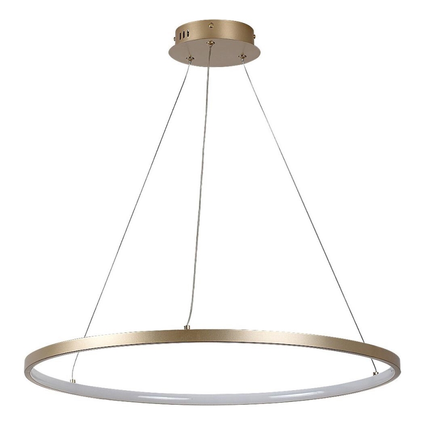 Rabalux - LED полилей на кабел LED/55W/230V 3000K