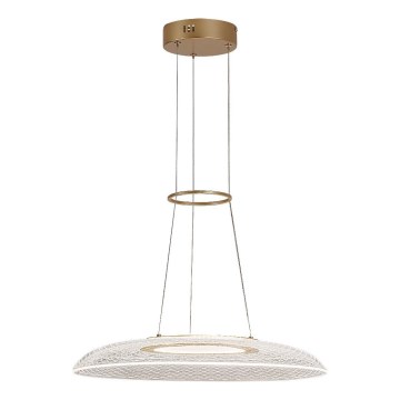 Rabalux - LED полилей с кабелно окачване LED/24W/230V 3000K