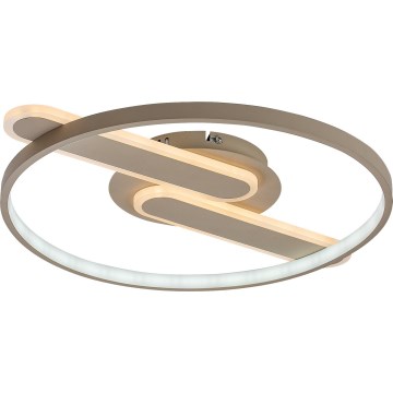 Rabalux - LED таванен плафон с функция за димиране LED/55W/230V 3000-6000K 53x45 cm + дистанционно управление