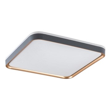 Rabalux - LED таванно осветително тяло LED/26W/230V 3000K 39,5x39,5 cm