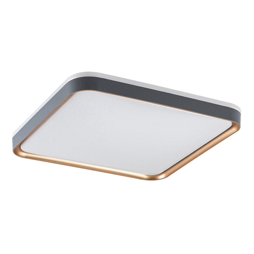 Rabalux - LED таванно осветително тяло LED/26W/230V 3000K 39,5x39,5 cm