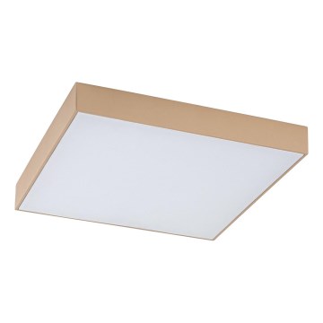 Rabalux - LED таванно осветително тяло за баня LED/24W/230V 2800/4000/6000K IP44
