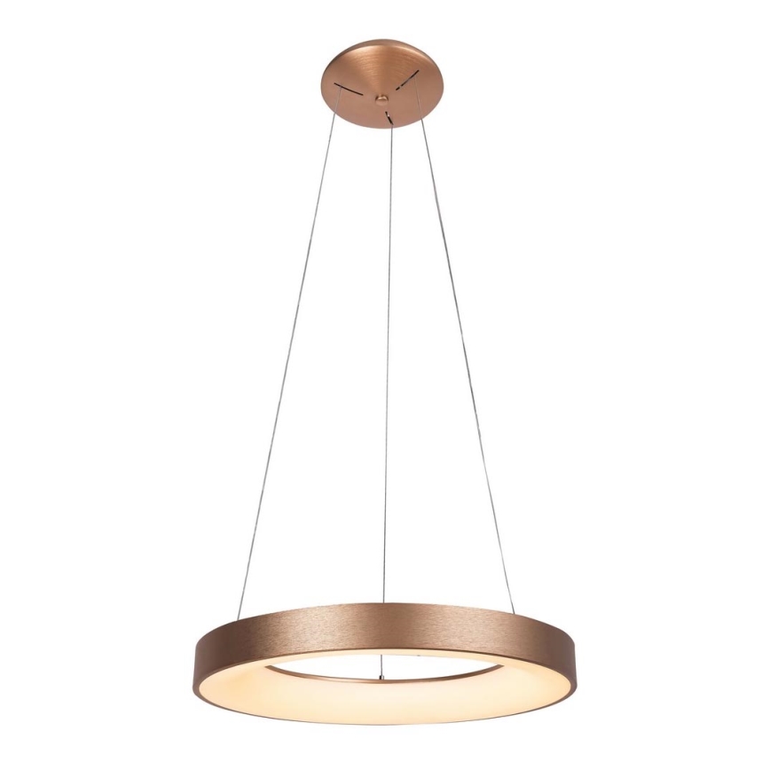 Rabalux - LED Висящ полилей CARMELLA LED/80W/230V