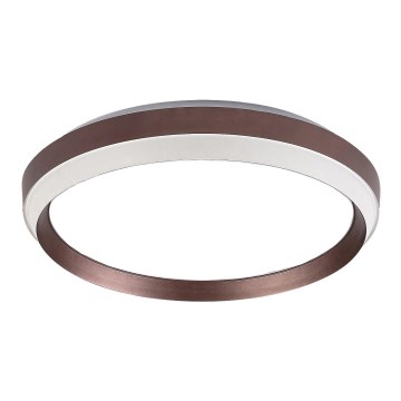 Rabalux - Резервна част за таванно осветително тяло FONTANA