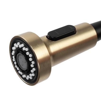 REA-B4821 - Смесител за мивка COLIN с изтеглящ се душ, 42,5 см, четкано злато