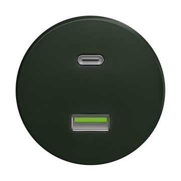 Reblig - Ретро USB гнездо A+C без рамка, зелено