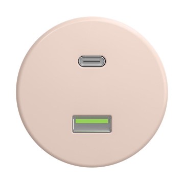 Reblig - Ретро USB розетка A+C без рамка старорозова