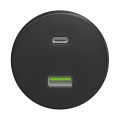 Reblig - Ретро USB контакт A+C без рамка антрацит
