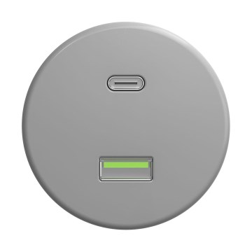 Reblig - Ретро USB контакт A+C без рамка, сив