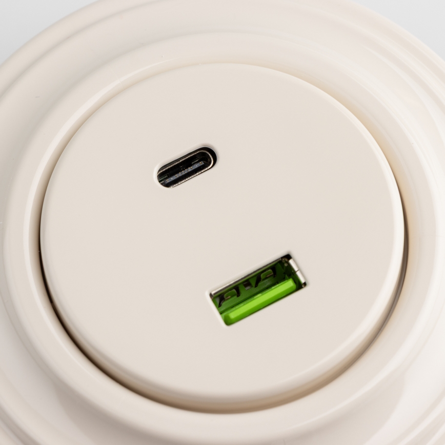 Reblig - Ретро USB контакт A+C с бежова рамка