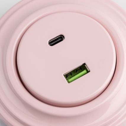 Reblig - Ретро USB контакт A+C с рамка старо-розово