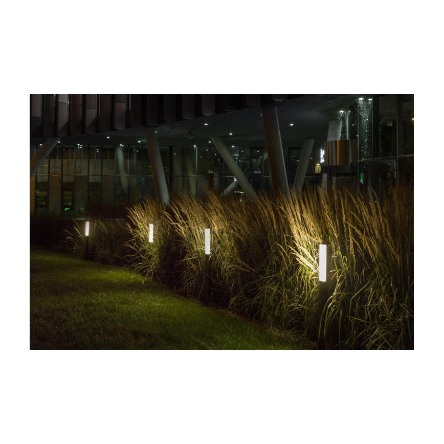 RED - Design Rendl - R10548 - LED Екстериорна лампа VADIS LED/8W/230V IP54