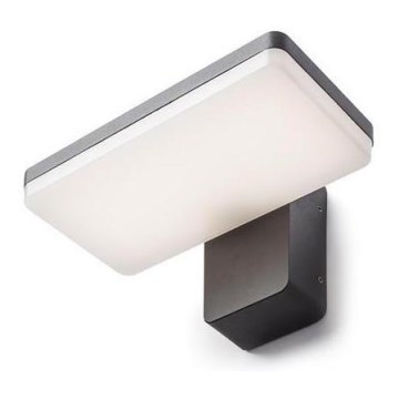 RED - Design Rendl - R11947- LED Екстериорен аплик RINA LED/12W/230V IP65